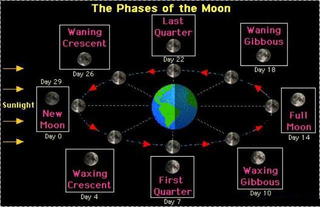 the phases of the Moon1